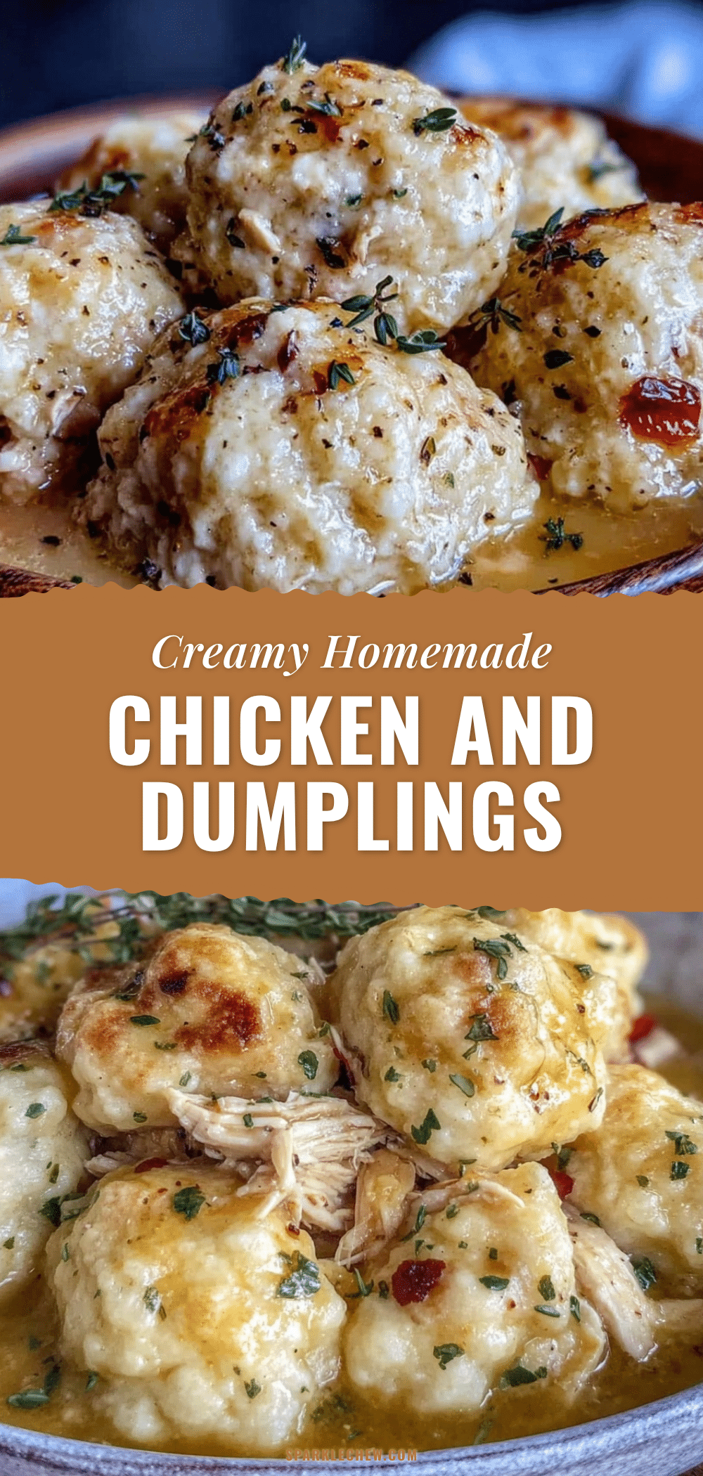 homemade chicken and dumplings recipe recipe