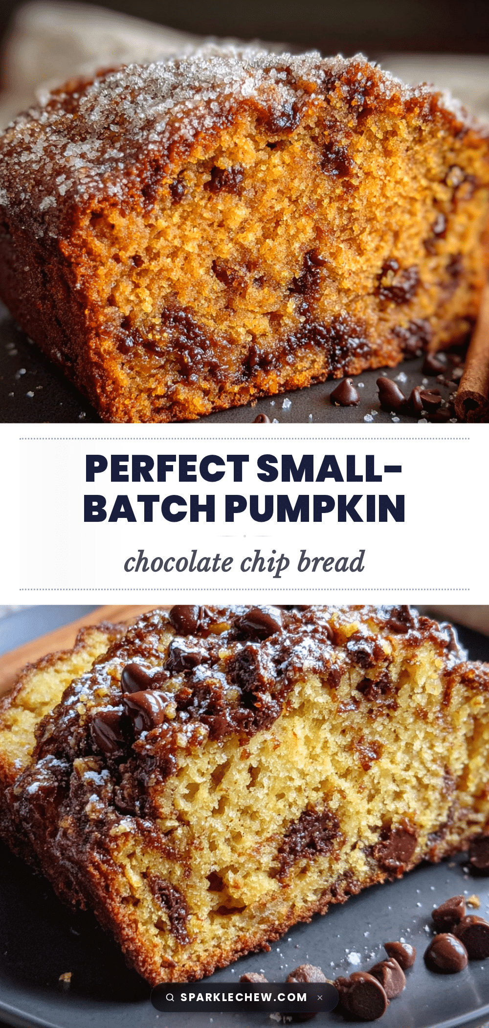 pumpkin chocolate chip bread recipe