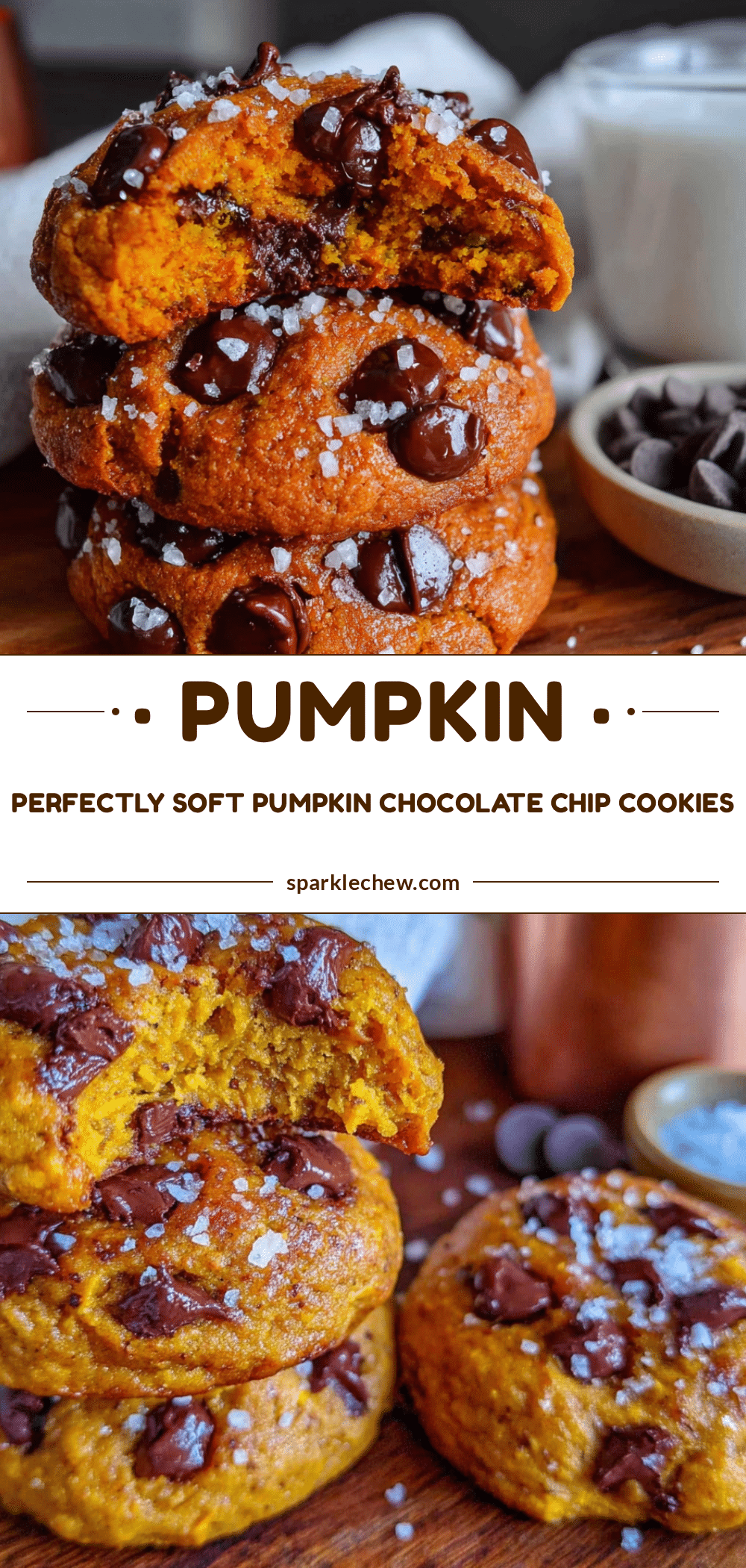 pumpkin chocolate chip cookies with sea salt recipe
