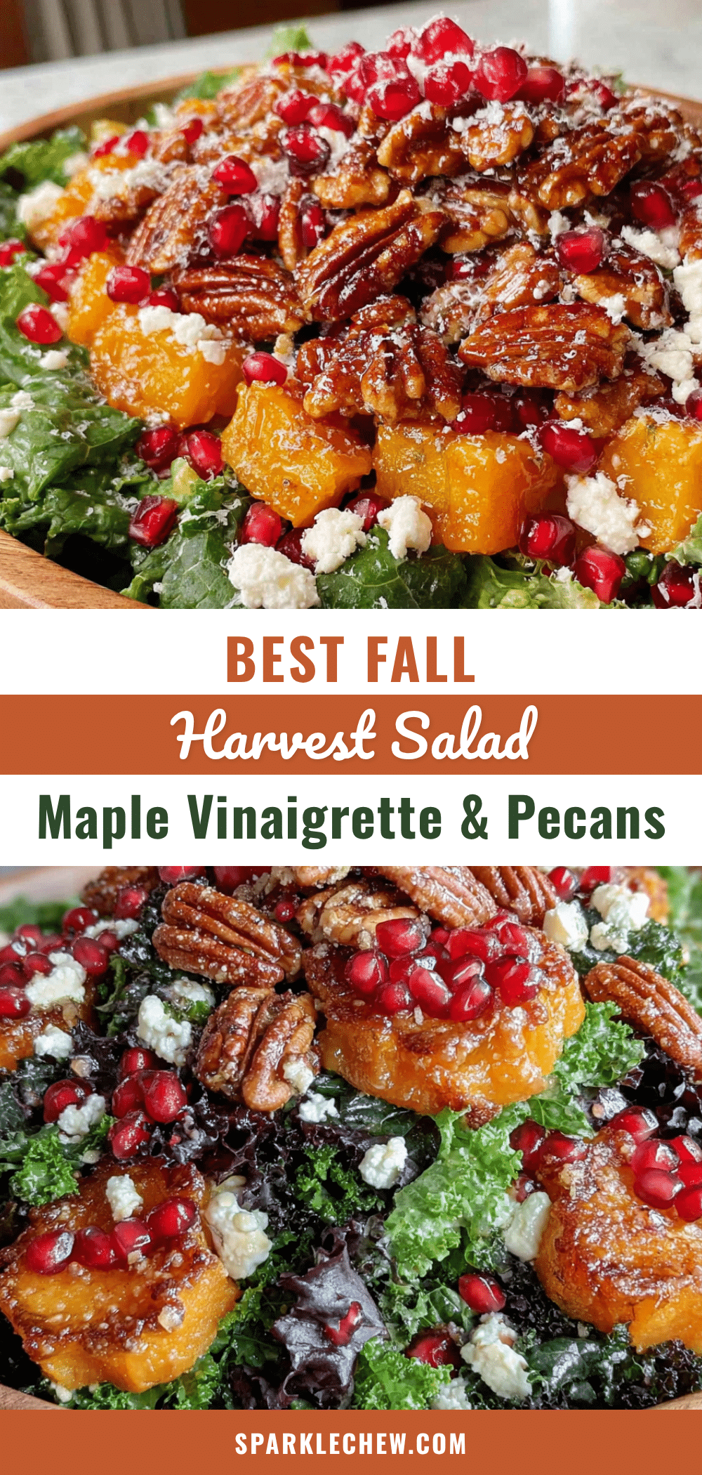 fall harvest salad recipe