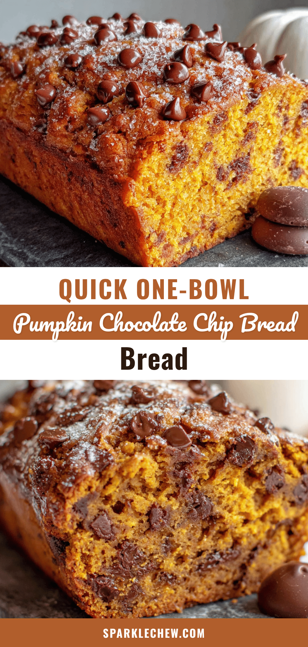 pumpkin chocolate chip bread recipe