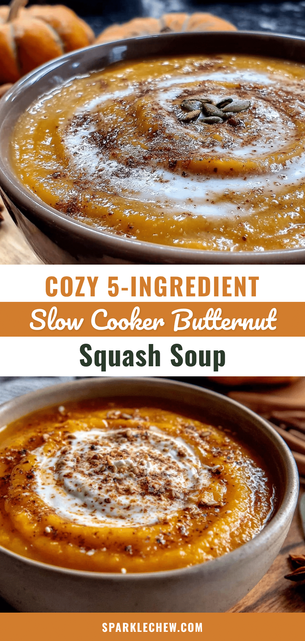 slow cooker butternut squash soup recipe